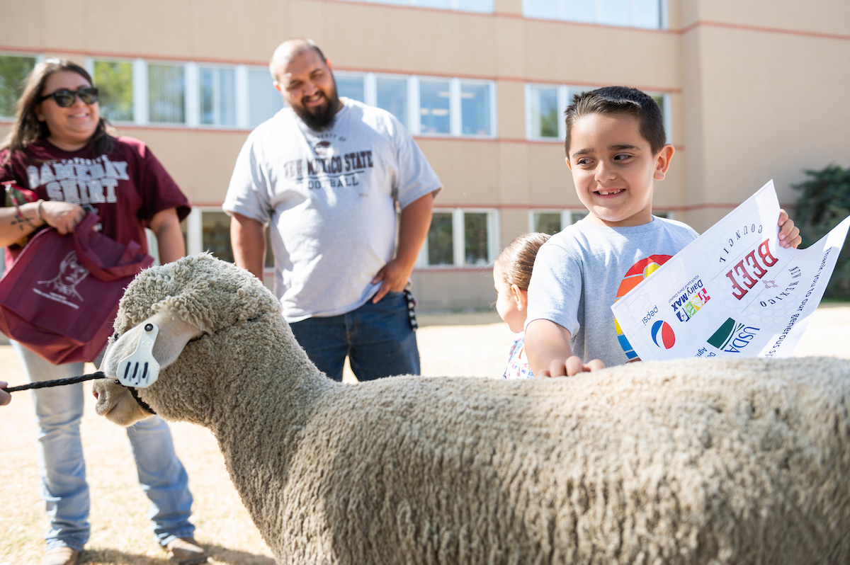 Child petting a sheep at the open house