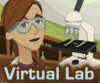 Image of virtual labs