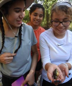 Three girls, one holding a tadpole