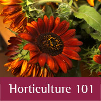 Horticulture 101 at Los Alamos county
