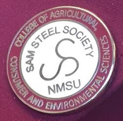 Image of Sam Steel Pin