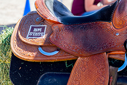 Image of saddle with NMSU logo