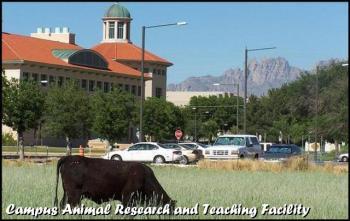 Image of campus animal research and teaching facility
