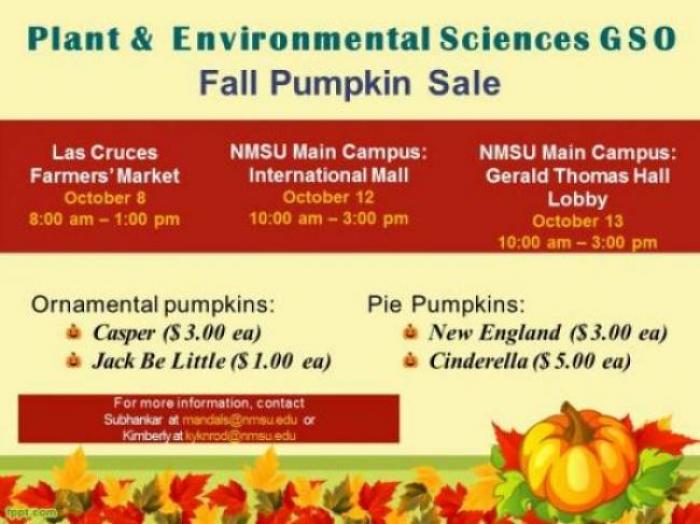 Image of fall pumpkin sale