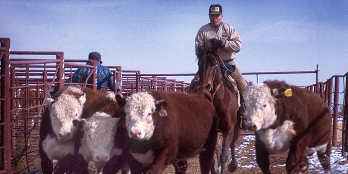 NMSU Extension Animal Science and Natural Resources