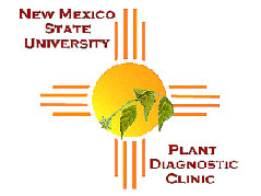 Image of a graphic depiction of a sun with a wilted plant in the center and the words New Mexico State University Plant Diagnostic Clinic