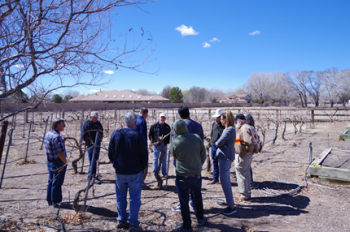 Dr. Giese participating in the pruning workshop 