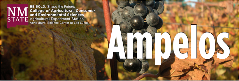 Image of Ampelos Blog from NMSU Viticulture department 