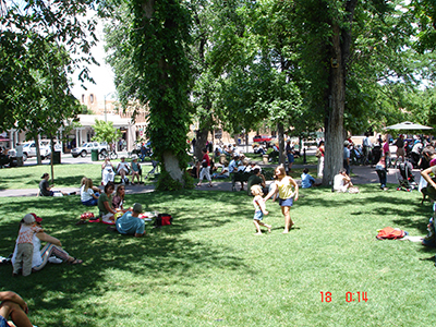 Image of people on green grass with trees at a park 