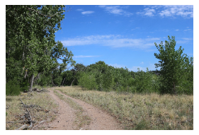 Image of open field with dirt road and trees