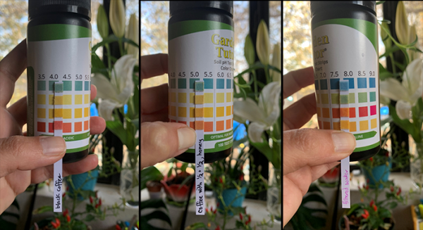Images of coffee cups with pH levels