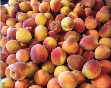 Image of ripe peaches from "Elberta" peach tree in Las Cruces