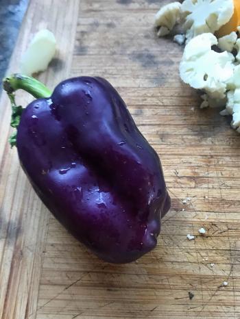 Image of a dark purple bell pepper