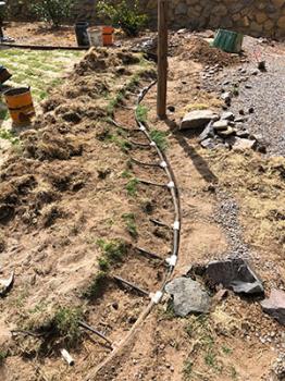 Image of drip lines being installed on dirt for green grass