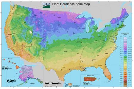 Image of US zone map of plant hardiness
