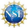 Image of ...NSF Symbol