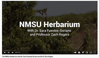 NMSU herbarium tour