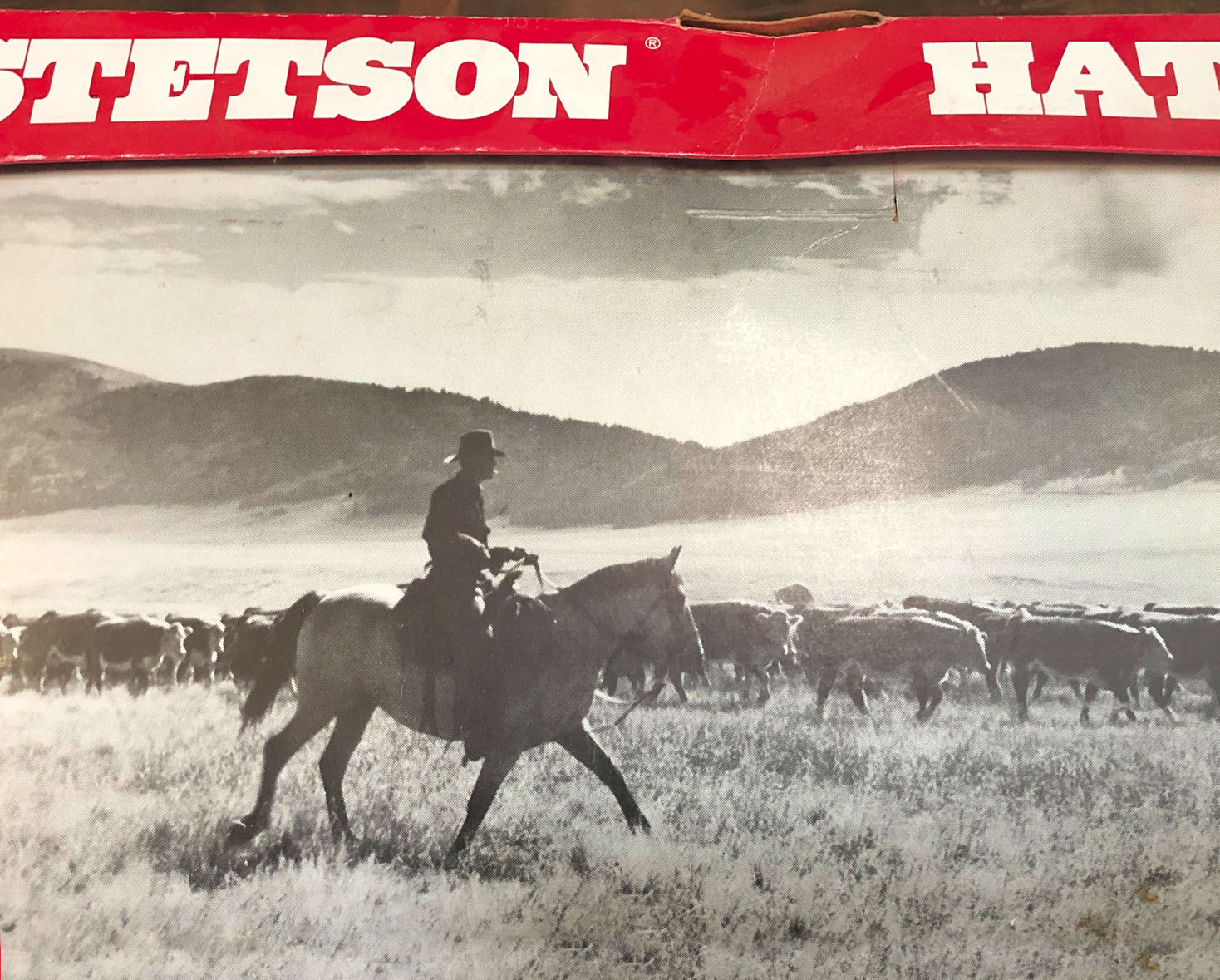 Steton Hat box with man riding a horse.