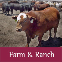 farm and ranch programs at Tribal Extension