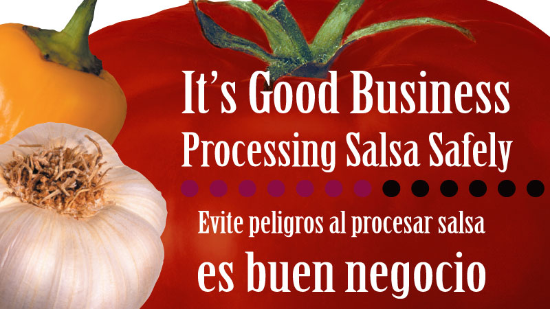 Processing Salsa Safely banner image