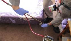 Image of a pest management professional spraying the corner of a bed
